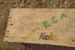 k-DSCN8848.jpg